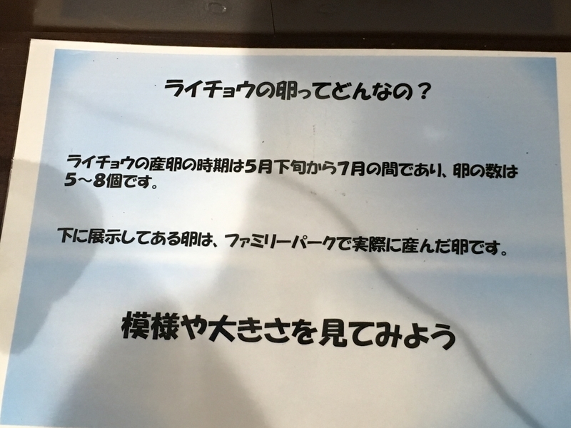 f:id:tukinoaguma:20191230231558j:plain f:id:tukinoaguma:20191230231558j:plain