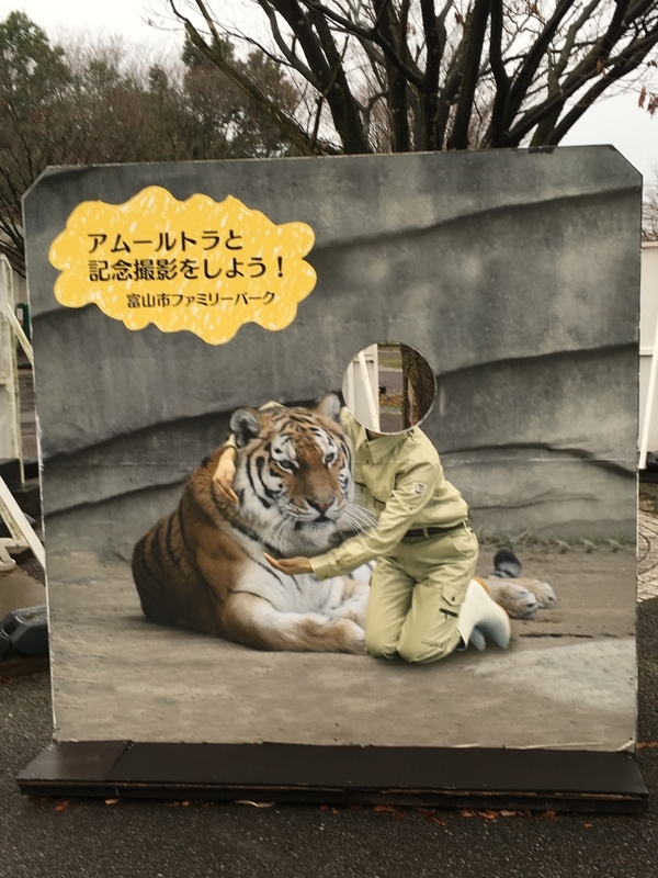 f:id:tukinoaguma:20191230232649j:plain f:id:tukinoaguma:20191230232649j:plain