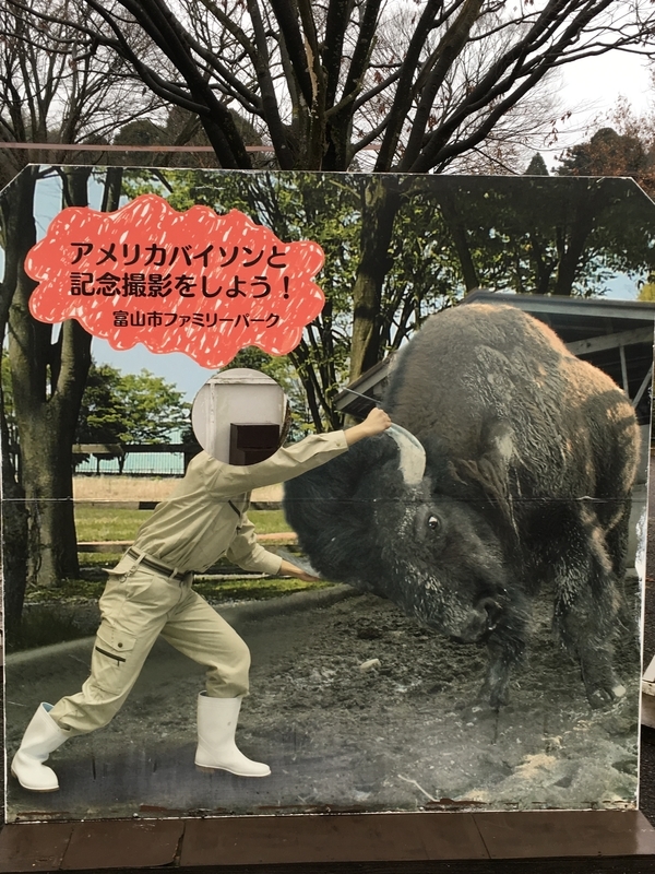 f:id:tukinoaguma:20191230232848j:plain f:id:tukinoaguma:20191230232848j:plain