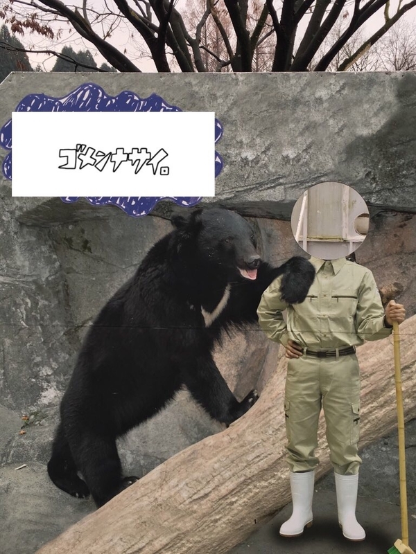f:id:tukinoaguma:20191230233110j:plain f:id:tukinoaguma:20191230233110j:plain