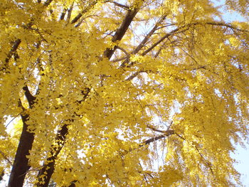 f:id:tukinoha:20071217225711j:image f:id:tukinoha:20071217225711j:image