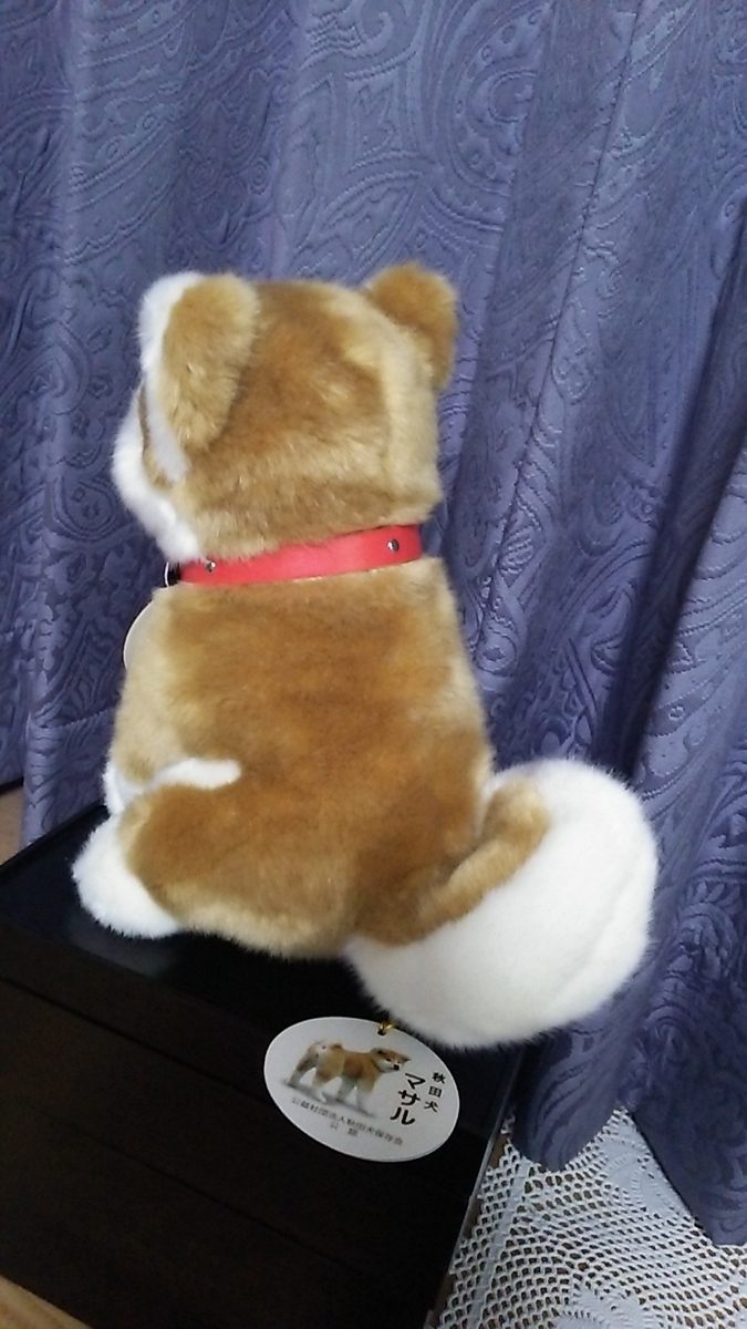 f:id:tukinowaguma007:20190610165559j:plain f:id:tukinowaguma007:20190610165559j:plain