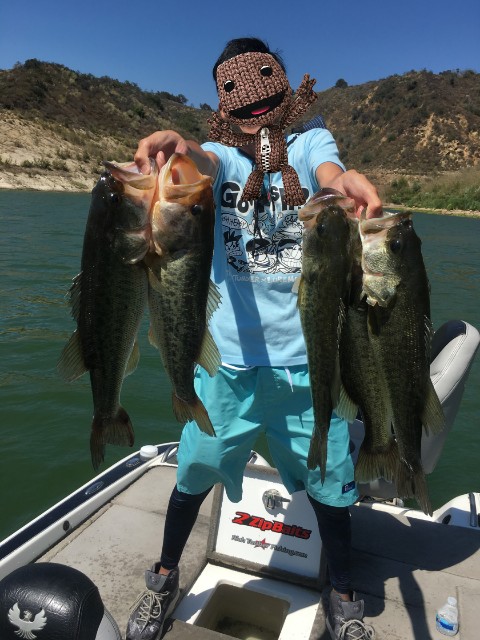 f:id:tukinukeroman:20180724183308j:image f:id:tukinukeroman:20180724183308j:image