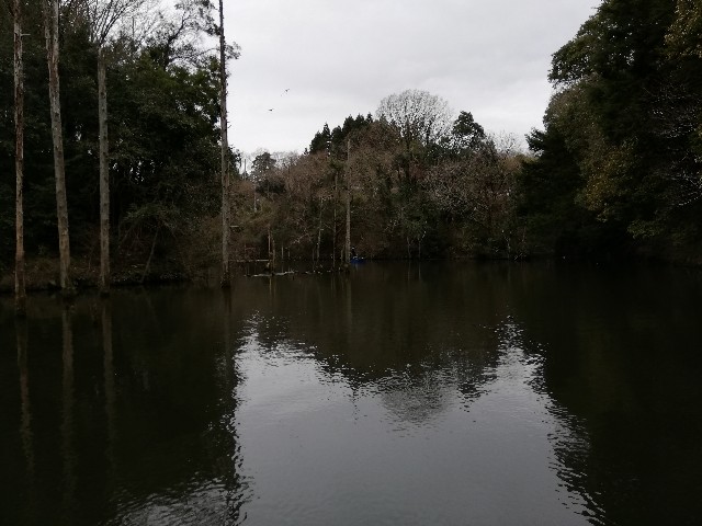 f:id:tukinukeroman:20190324153606j:image f:id:tukinukeroman:20190324153606j:image