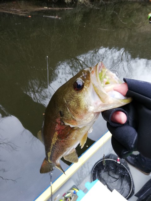 f:id:tukinukeroman:20190324203745j:image f:id:tukinukeroman:20190324203745j:image