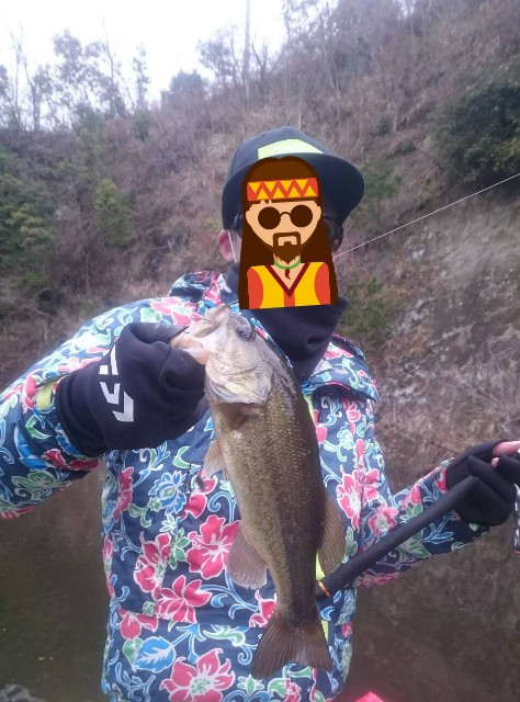 f:id:tukinukeroman:20190324204934j:image f:id:tukinukeroman:20190324204934j:image