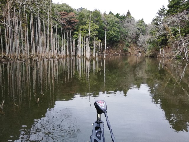 f:id:tukinukeroman:20190324215221j:image f:id:tukinukeroman:20190324215221j:image