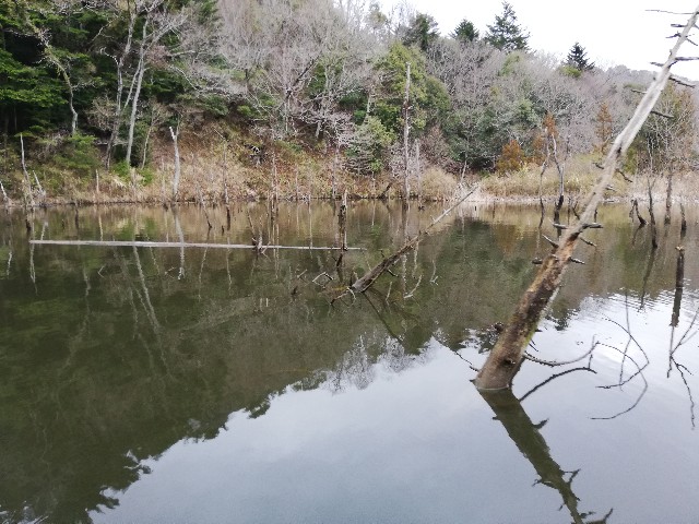 f:id:tukinukeroman:20190324215252j:image f:id:tukinukeroman:20190324215252j:image