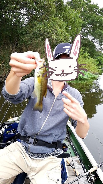 f:id:tukinukeroman:20200929221153j:image f:id:tukinukeroman:20200929221153j:image