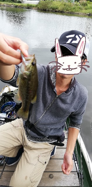f:id:tukinukeroman:20200929221354j:image f:id:tukinukeroman:20200929221354j:image
