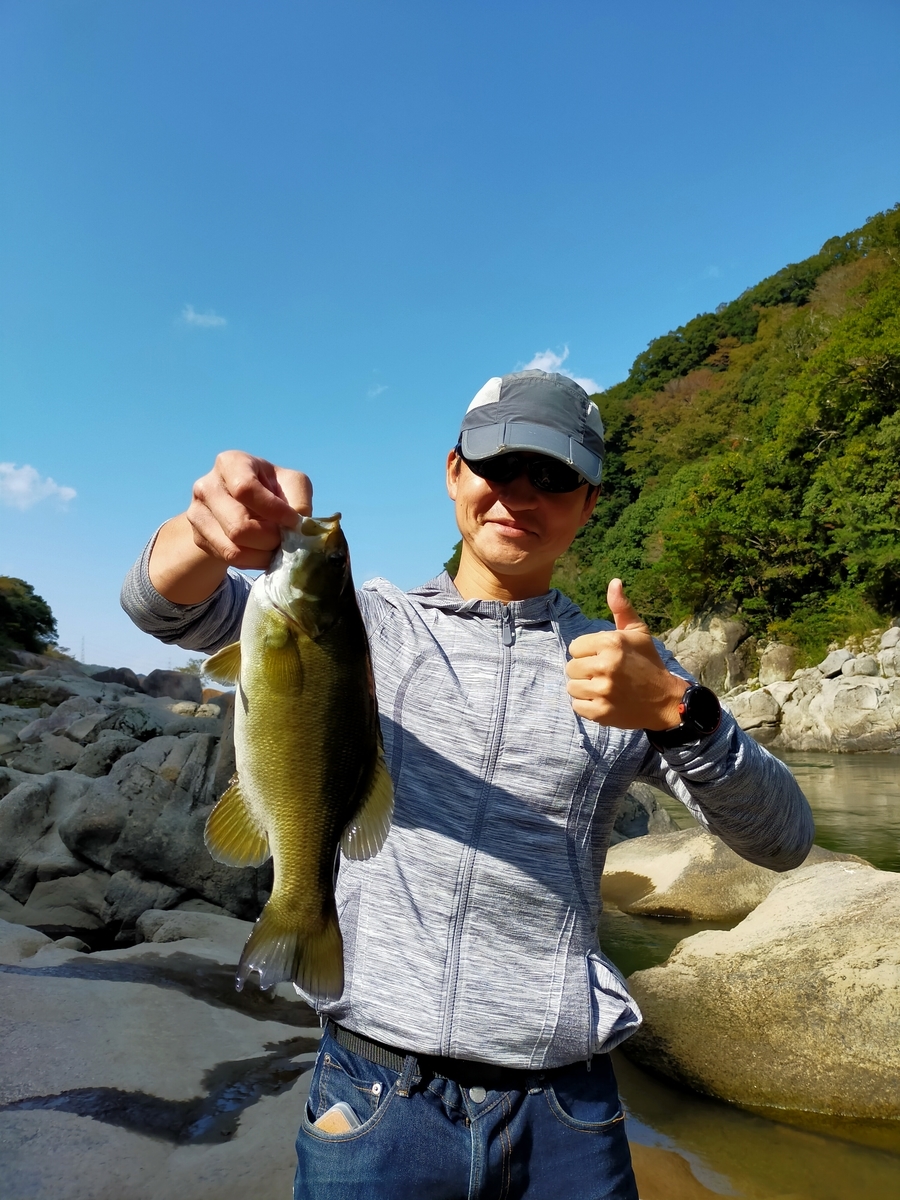 f:id:tukiookami:20201030123054j:plain