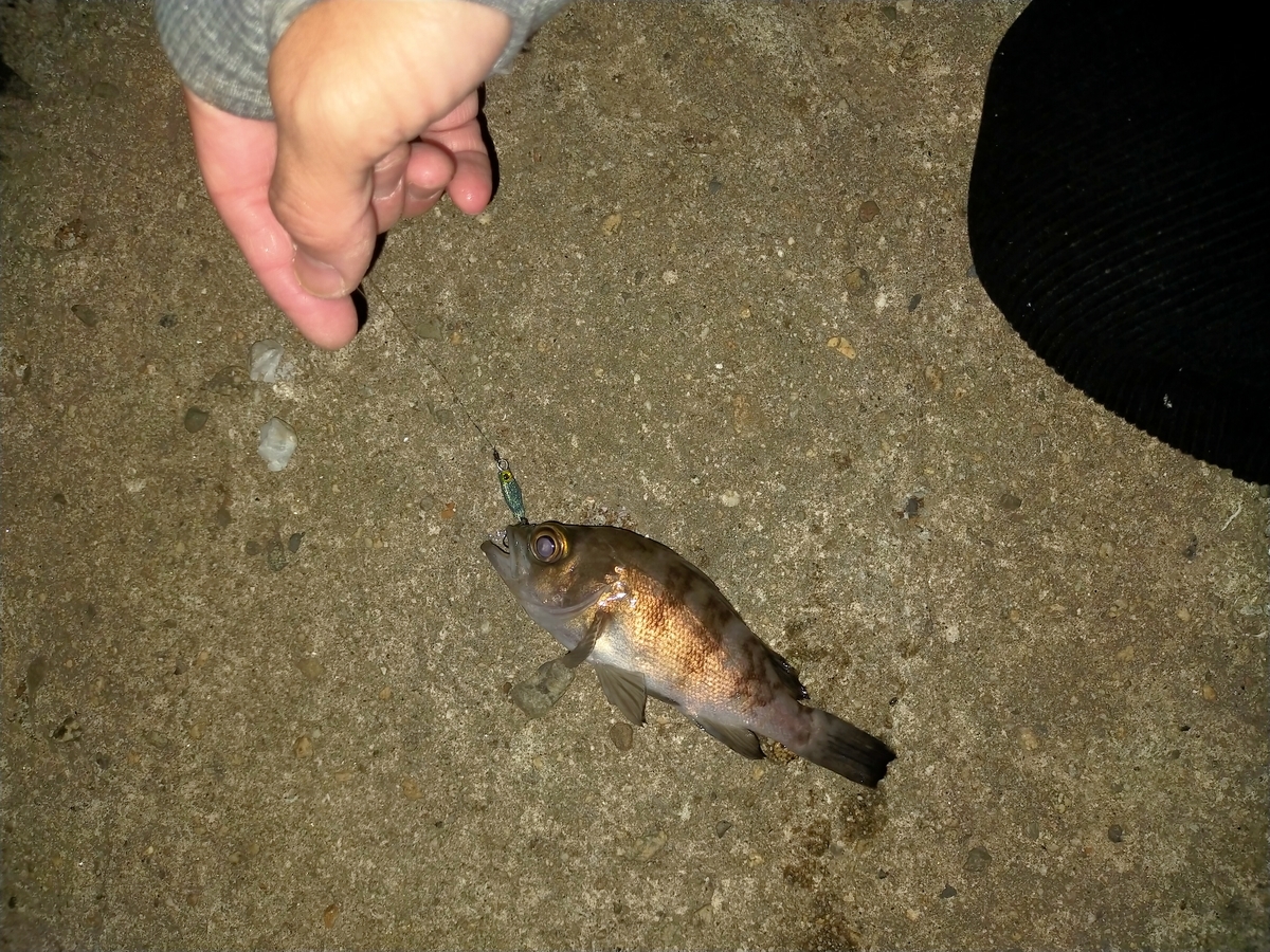 f:id:tukiookami:20211201101645j:plain