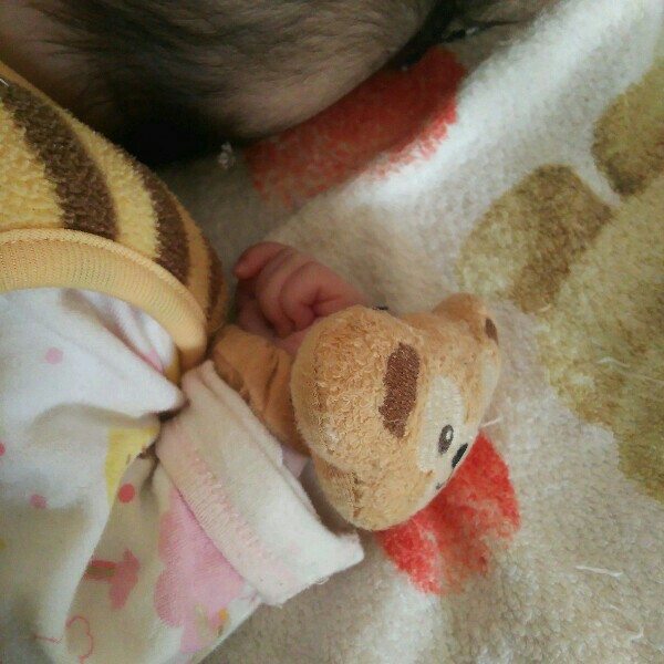 f:id:tukishiba_turedure:20190221142632j:image f:id:tukishiba_turedure:20190221142632j:image