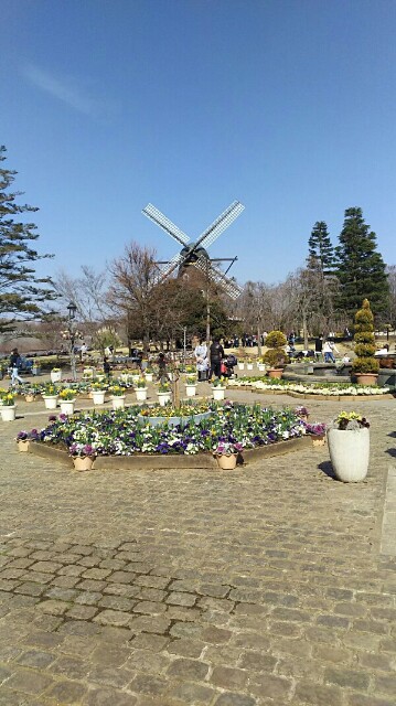 f:id:tukishiba_turedure:20190303230801j:image f:id:tukishiba_turedure:20190303230801j:image