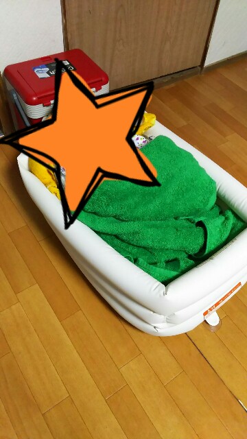 f:id:tukishiba_turedure:20190305232629j:image f:id:tukishiba_turedure:20190305232629j:image