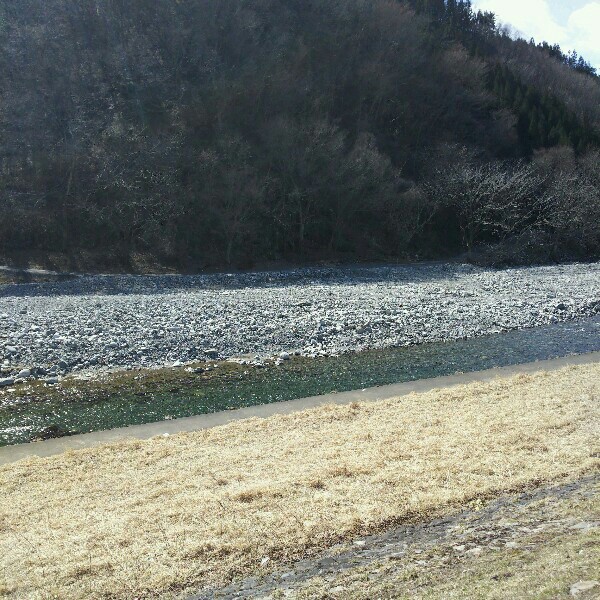 f:id:tukishiba_turedure:20190320114943j:image f:id:tukishiba_turedure:20190320114943j:image