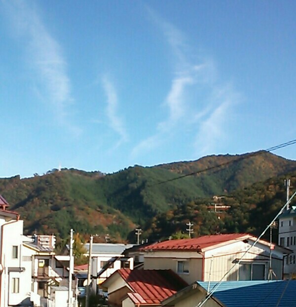 f:id:tukishiba_turedure:20190324112625j:image f:id:tukishiba_turedure:20190324112625j:image