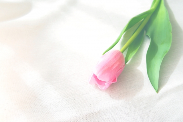 f:id:tukishiba_turedure:20190329102617j:plain f:id:tukishiba_turedure:20190329102617j:plain