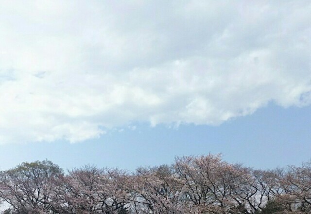 f:id:tukishiba_turedure:20190401051727j:image f:id:tukishiba_turedure:20190401051727j:image
