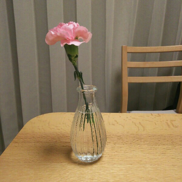 f:id:tukishiba_turedure:20190513041125j:image f:id:tukishiba_turedure:20190513041125j:image