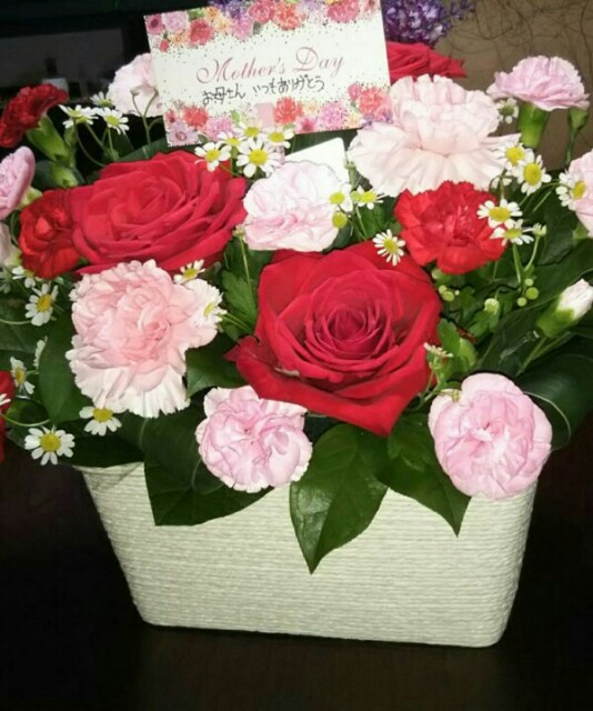 f:id:tukishiba_turedure:20190513042625j:image f:id:tukishiba_turedure:20190513042625j:image