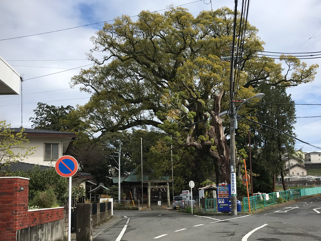 f:id:tukishiro_art_lab:20200329225725j:plain