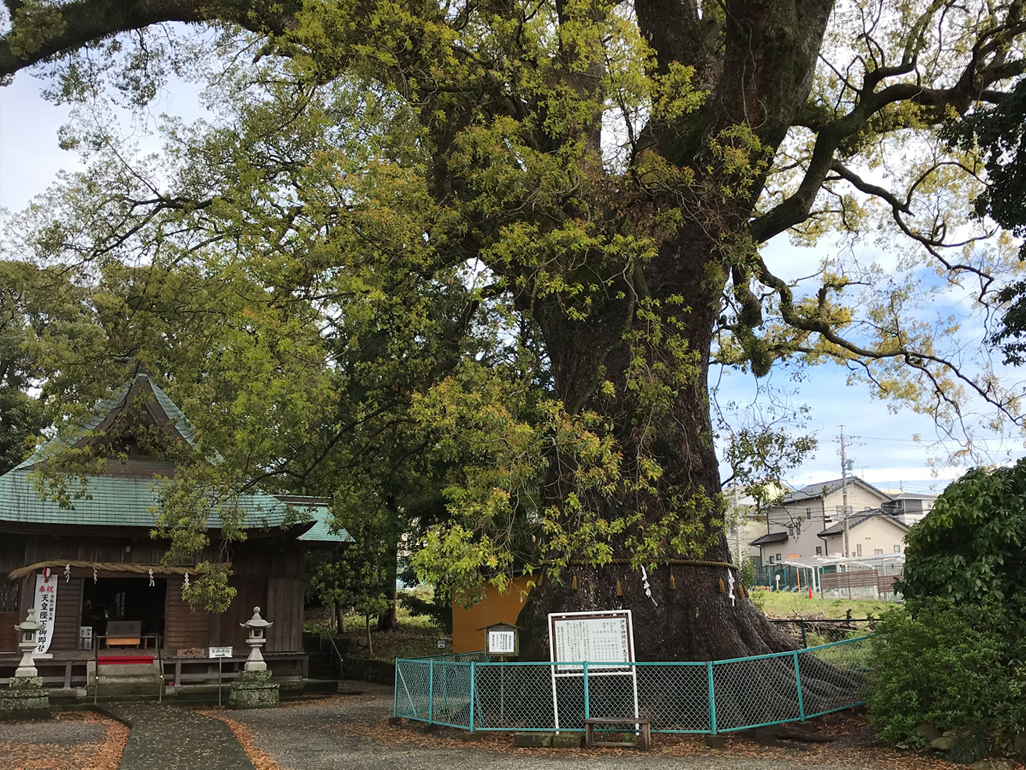 f:id:tukishiro_art_lab:20200329230717j:plain