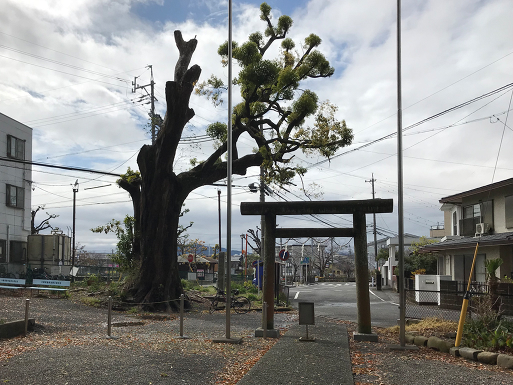 f:id:tukishiro_art_lab:20200329230909j:plain