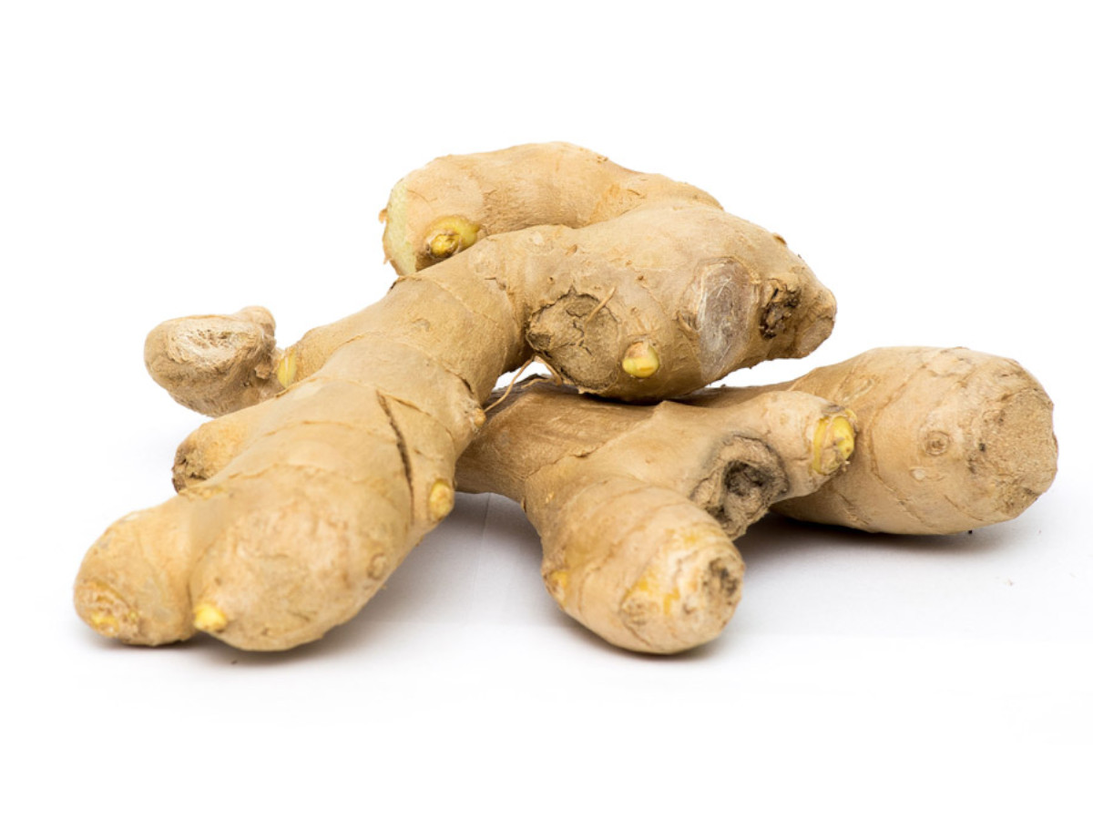 |暑さ対策|、その内容とは