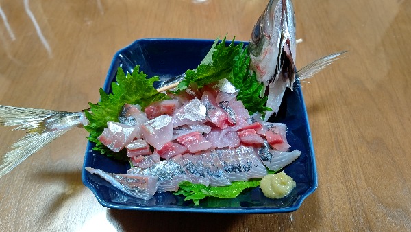 f:id:tukitoumi:20210114232351j:plain