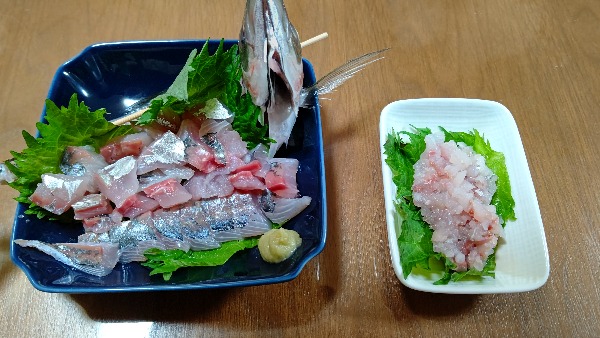 f:id:tukitoumi:20210114232754j:plain