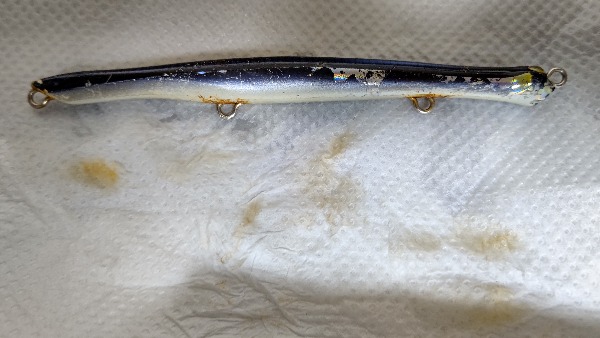 f:id:tukitoumi:20210215000050j:plain