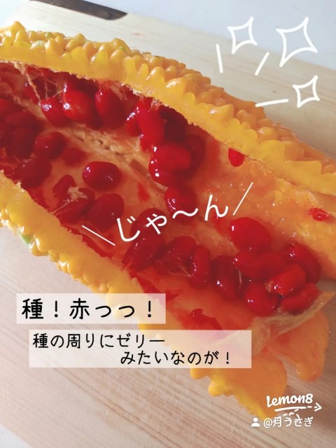 f:id:tukiusagimama:20220810164332j:image f:id:tukiusagimama:20220810164332j:image