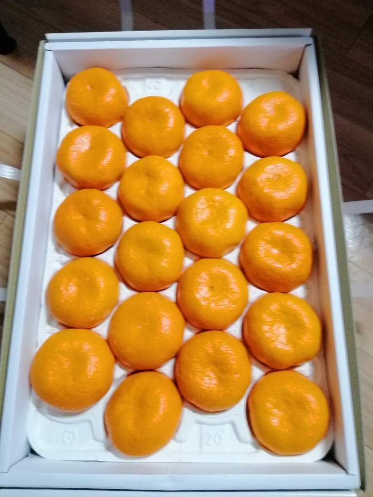 みかん2 f:id:tukiyo_plus:20190224221200j:plain