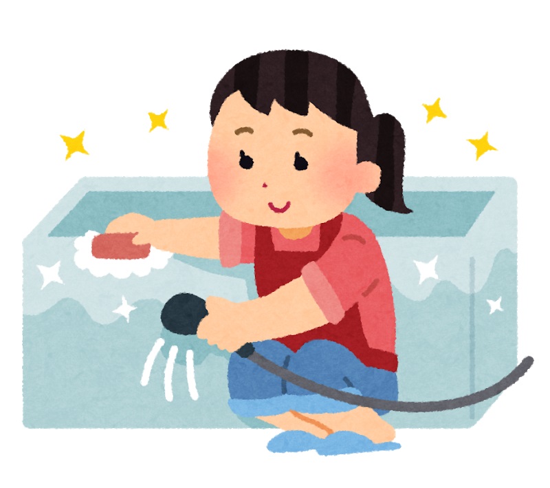 f:id:tukiyozyou:20190211214635j:plain