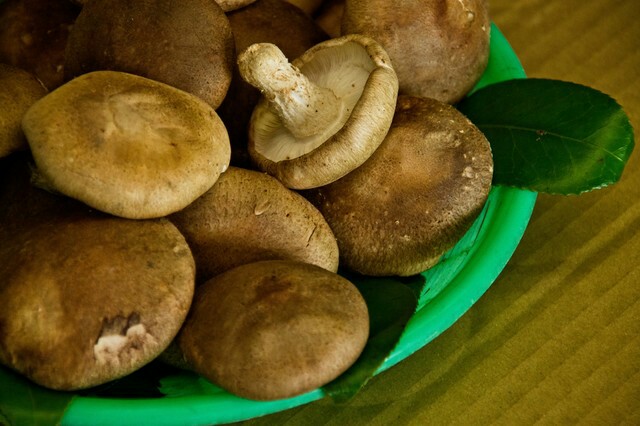 f:id:tukkoman:20170916095157j:image