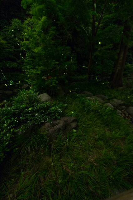 f:id:tukkoman:20170923085616j:image