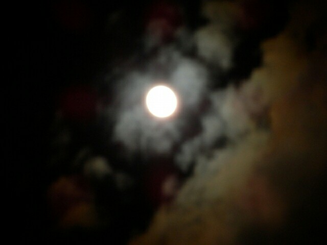 f:id:tukkoman:20170923085644j:image