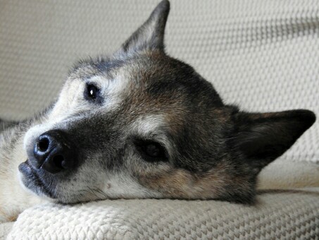 f:id:tukkoman:20171028081340j:image