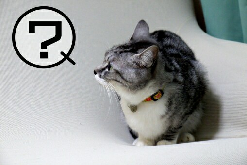 f:id:tukkoman:20171103111002j:image