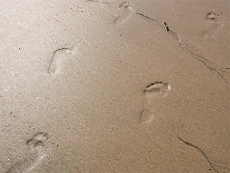 f:id:tukkoman:20171110043323j:image