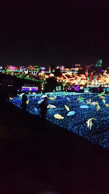 f:id:tukkoman:20171202122856j:image f:id:tukkoman:20171202122856j:image