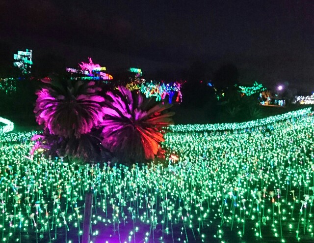 f:id:tukkoman:20171222101836j:image