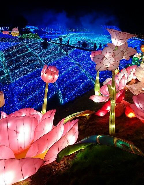 f:id:tukkoman:20171222101847j:image