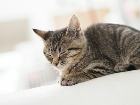 f:id:tukkoman:20180108210238j:image f:id:tukkoman:20180108210238j:image