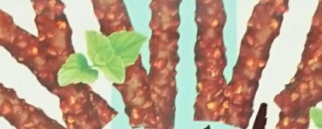 f:id:tukkoman:20180517055537j:image f:id:tukkoman:20180517055537j:image