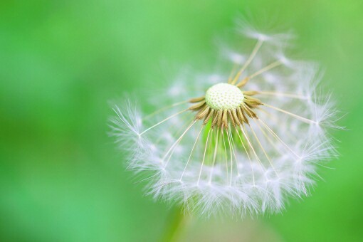 f:id:tukkoman:20180715120428j:image