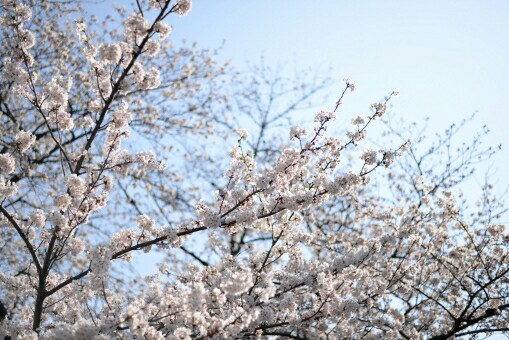 f:id:tukkoman:20180715120537j:image