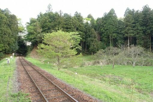 f:id:tukkoman:20180715120600j:image