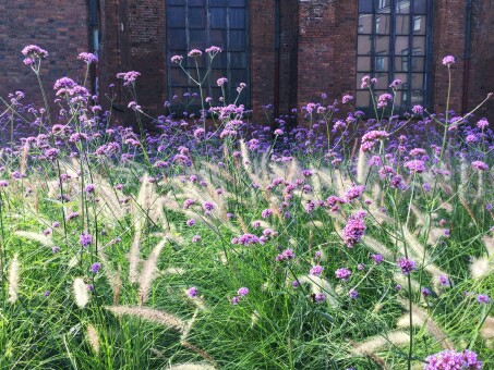 f:id:tukkoman:20180715121535j:image